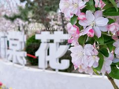 -海棠花溪(元大都城垣遗址公园)