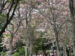 -四海公园(南山区)