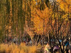 -回龙观体育文化公园