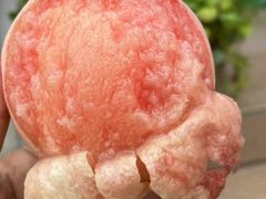 -老袁家蜜桃农场·阳山水蜜桃