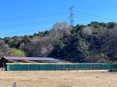 -沈阳森林动物园