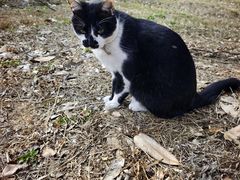 -浙江农林大学(东湖校区)