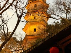-江心屿景区