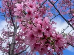 -福州大学(旗山校区)