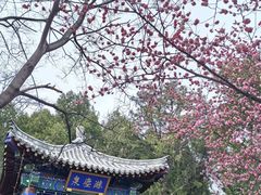 -泰山风景名胜区-虎山公园