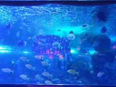-大明湖海底世界