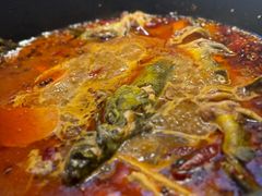 -青青河边草·小小河边鱼(万达广场太仓店)