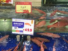 -东江海鲜酒家(艺都分店)