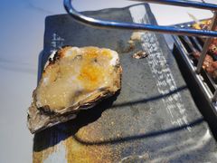 -大成海鲜烧烤·小龙虾(五角场店)