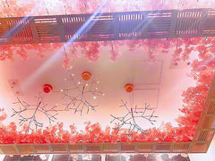-豚王拉面(铜锣湾店 )