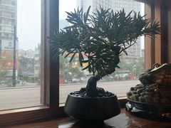 -鸟鹏烧鸟居酒屋(昌岗店)