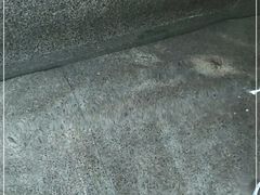 -咸宁万豪温泉谷度假区