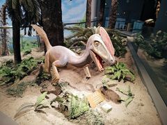 -辽宁古生物博物馆
