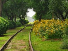 -永定河休闲森林公园