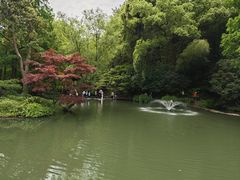 -杭州植物园