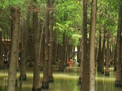 -捞渔河湿地公园