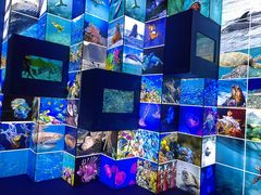 -上海中国航海博物馆