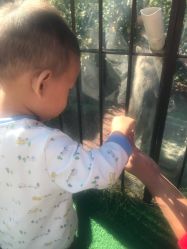 -萌宠亲子动物乐园(槐房万达店)