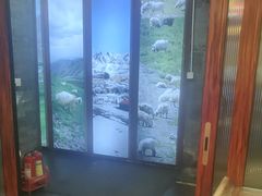 -阿西娅食府(中关村店)