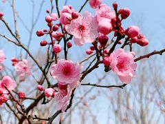 -白塘生态植物园