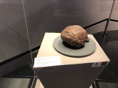 -北京周口店北京人遗址博物馆