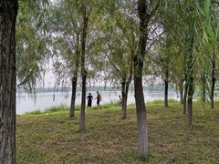 -大兴滨河森林公园