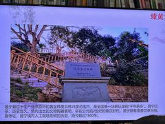 -云南省图书馆