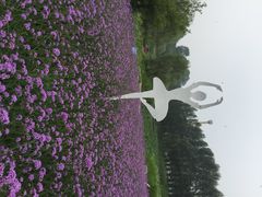 iphone_upload_pic-沈阳植物园