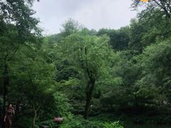 -岳麓山风景名胜区