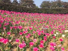 -院士公园