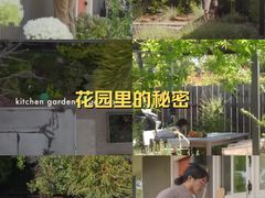 -黑龙潭风景区