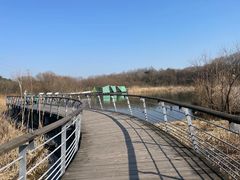 -西湖风景区-江洋畈生态公园