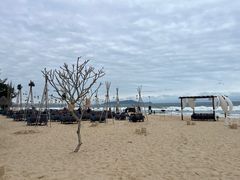 -海南清水湾莱佛士酒店