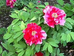 -江南大学(蠡湖校区)