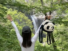 -洛阳白云山景区