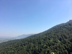 -铁山坪森林公园