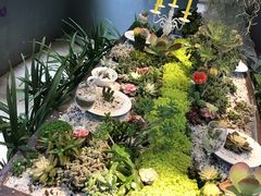 -石家庄市植物园
