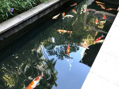 -曼谷铂尔曼皇权酒店
