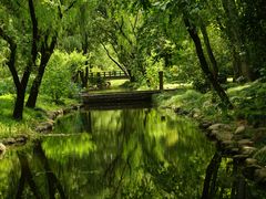 -上海共青森林公园