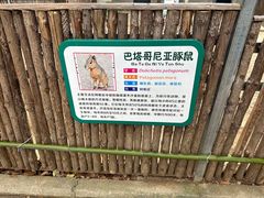 -合肥野生动物园