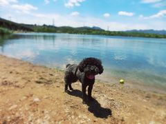 -永定河休闲森林公园