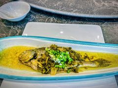 清蒸小黄鱼-新光酒家·河豚·海鲜·蟹料理(浦东店)