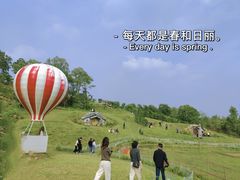 -大塘金香草谷