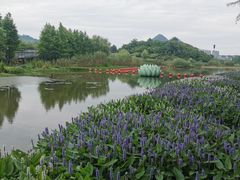 -青山湖景区