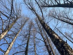 -东坡赤壁风景名胜区