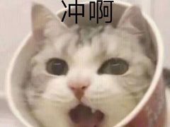 -君之狮子山·轻糖烘焙(松江印象城店)