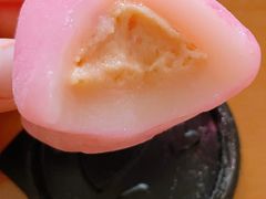 -芳叔(动漫星城店)