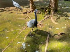 -哈尔滨北方森林动物园