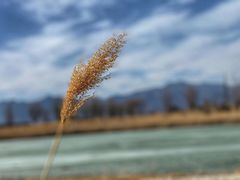 -野鸭湖国家湿地公园
