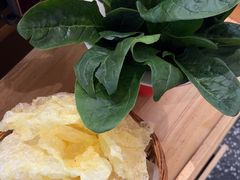 -洪氏嗨捞·猪肚鸡火锅(阳光天地店)